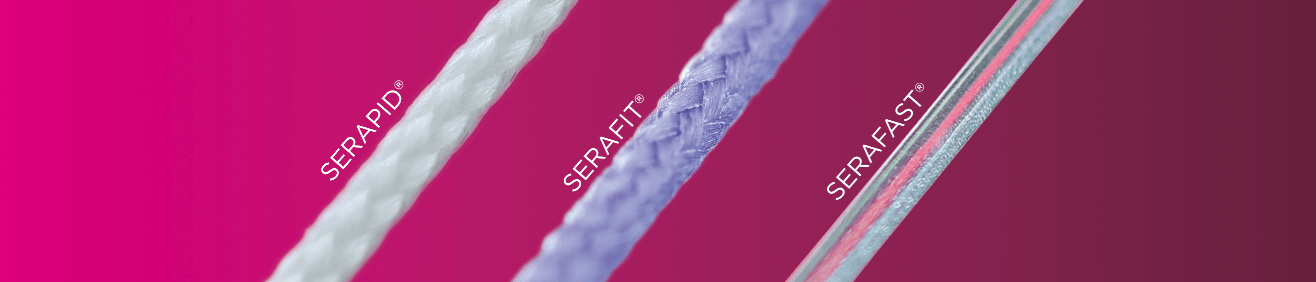 A képen szöveg láthatóAutomatikusan generált leírás