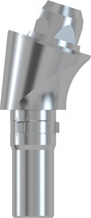 Bont solid CAMLOG® CFR 17 ° B tip 3,3 × 4,0