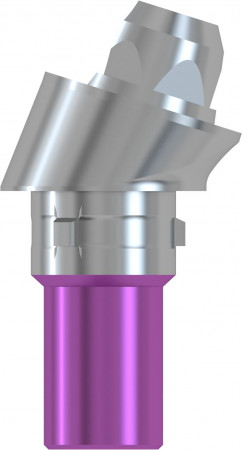 Bont solid CAMLOG® CFR 17 ° B tip 4,3 × 2,5