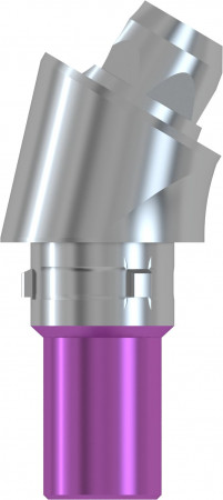 CAMLOG® CFR solid abutment 30 ° Type A 4.3 × 4.0