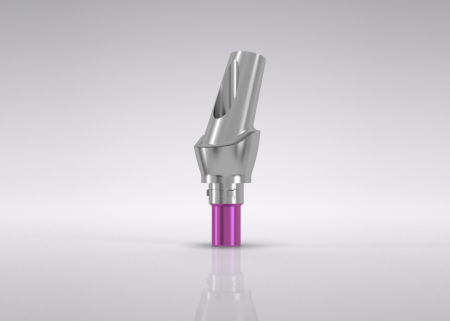 CAMLOG® Esthomic abutment 20 ° B type 4.3 mm
