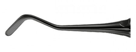 SPATULĂ COMPOZĂ FIG. 1