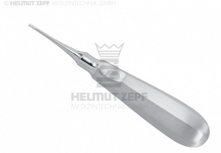 ELEVATOR;ROOT ELEVATOR F. ROOTS OF TEETH