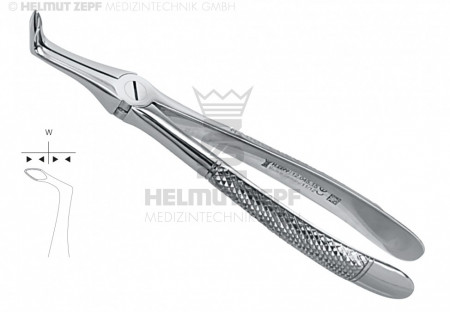 EXTRAKT. ZANGE F. UNTERE WURZELN,