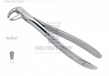 EXTRACTING FORCEPS, ENGL.