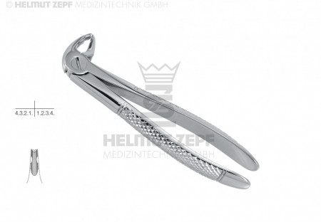 EXTRACTING FORCEPS, ENGL. PATTERN,