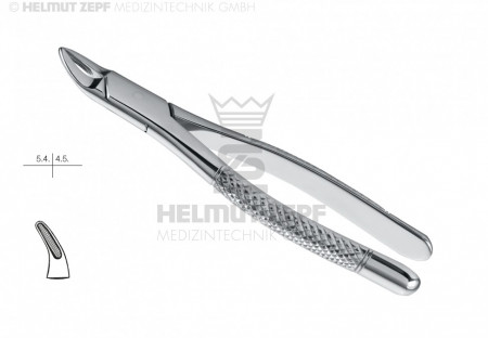 EXTRACTING FORCEPS, HULL,